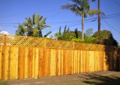 new fence-no bamboo3s
